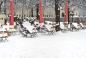 Preview: May Nikolaus Schutzhülle für Schirm Schattello / Albatros 16 - 29 m²